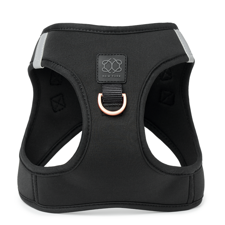 designer dog leashes and collars, designer dog collar and leash, pet accessories designer, fancy harness for dogs, luxury dog harness, fancy dog stuff, pet accessories designer, stylish dog leash