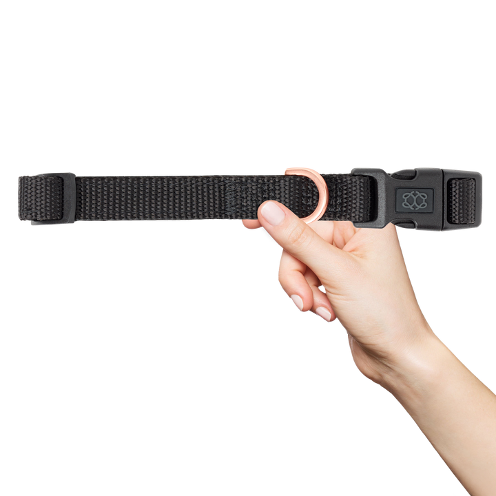 designer dog leashes and collars, designer dog collar and leash, pet accessories designer, fancy harness for dogs, luxury dog harness, fancy dog stuff, pet accessories designer, stylish dog leash