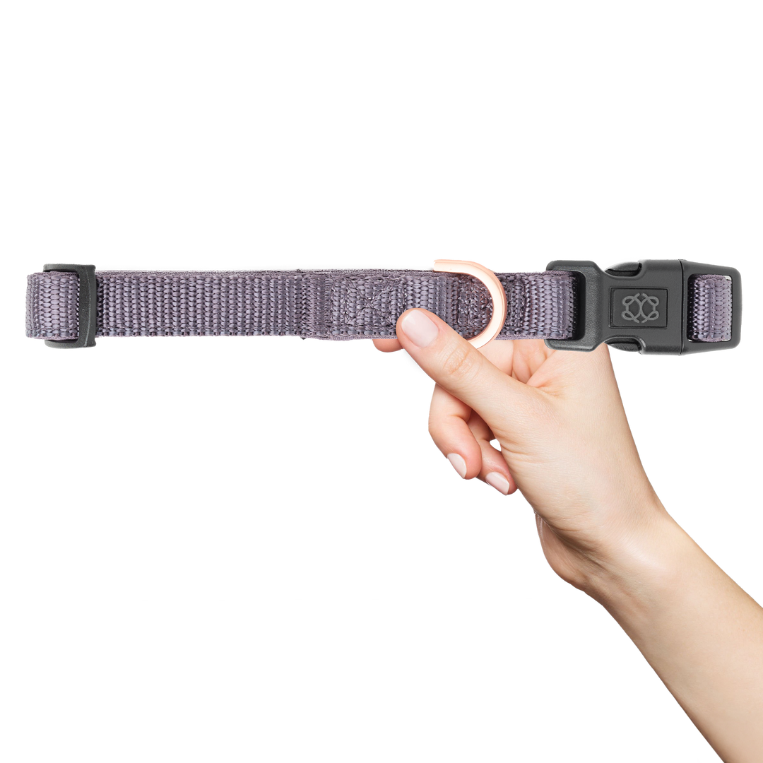 designer dog leashes and collars, designer dog collar and leash, pet accessories designer, fancy harness for dogs, luxury dog harness, fancy dog stuff, pet accessories designer, stylish dog leash