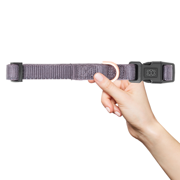 designer dog leashes and collars, designer dog collar and leash, pet accessories designer, fancy harness for dogs, luxury dog harness, fancy dog stuff, pet accessories designer, stylish dog leash