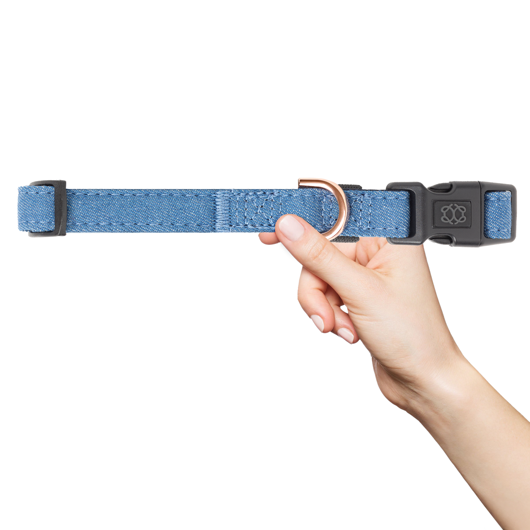 designer dog leashes and collars, designer dog collar and leash, pet accessories designer, fancy harness for dogs, luxury dog harness, fancy dog stuff, pet accessories designer, stylish dog leash