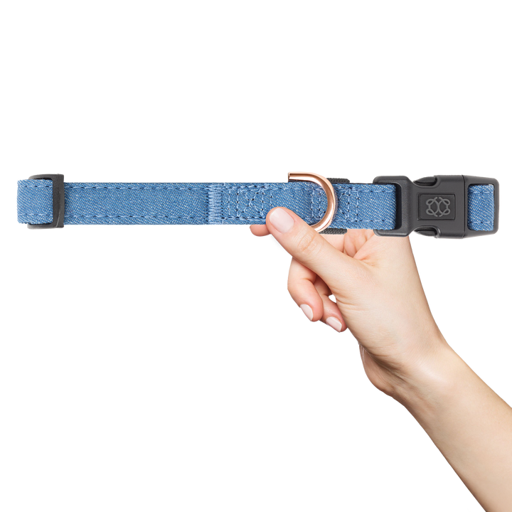 designer dog leashes and collars, designer dog collar and leash, pet accessories designer, fancy harness for dogs, luxury dog harness, fancy dog stuff, pet accessories designer, stylish dog leash