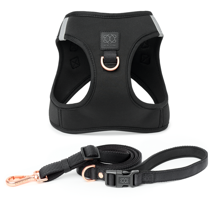 designer dog leashes and collars, designer dog collar and leash, pet accessories designer, fancy harness for dogs, luxury dog harness, fancy dog stuff, pet accessories designer, stylish dog leash