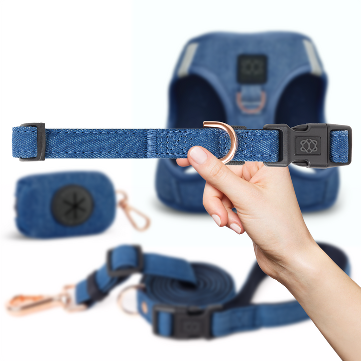 designer dog leashes and collars, designer dog collar and leash, pet accessories designer, fancy harness for dogs, luxury dog harness, fancy dog stuff, pet accessories designer, stylish dog leash