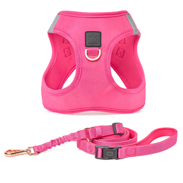 designer dog leashes and collars, designer dog collar and leash, pet accessories designer, fancy harness for dogs, luxury dog harness, fancy dog stuff, pet accessories designer, stylish dog leash