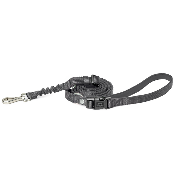 Award-Winning Heather Gray Hands-Free Dog Leash | Dogistry