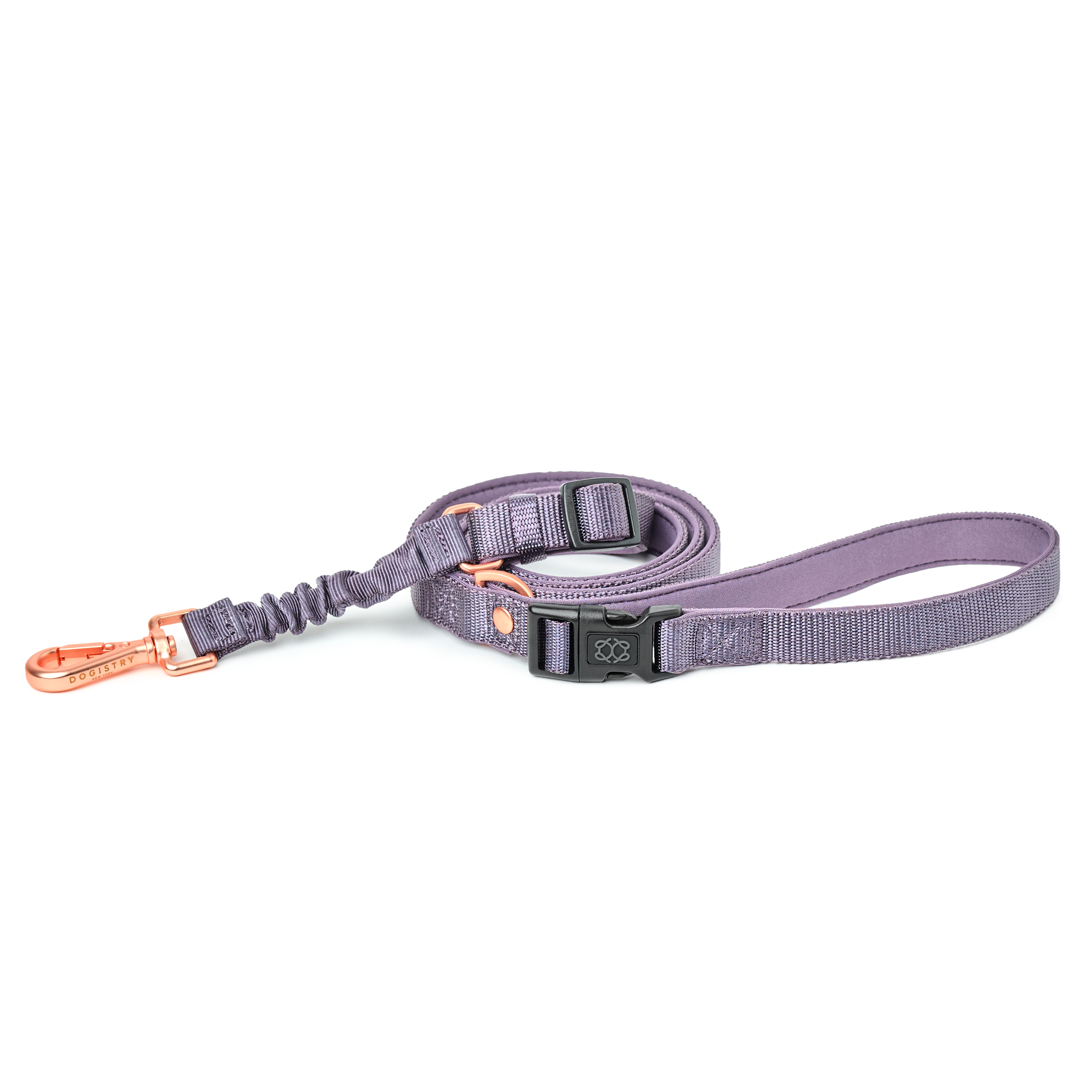 designer dog leashes and collars, designer dog collar and leash, pet accessories designer, fancy harness for dogs, luxury dog harness, fancy dog stuff, pet accessories designer, stylish dog leash