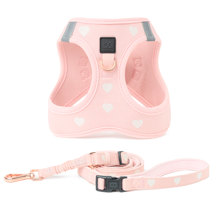 designer dog leashes and collars, designer dog collar and leash, pet accessories designer, fancy harness for dogs, luxury dog harness, fancy dog stuff, pet accessories designer, stylish dog leash