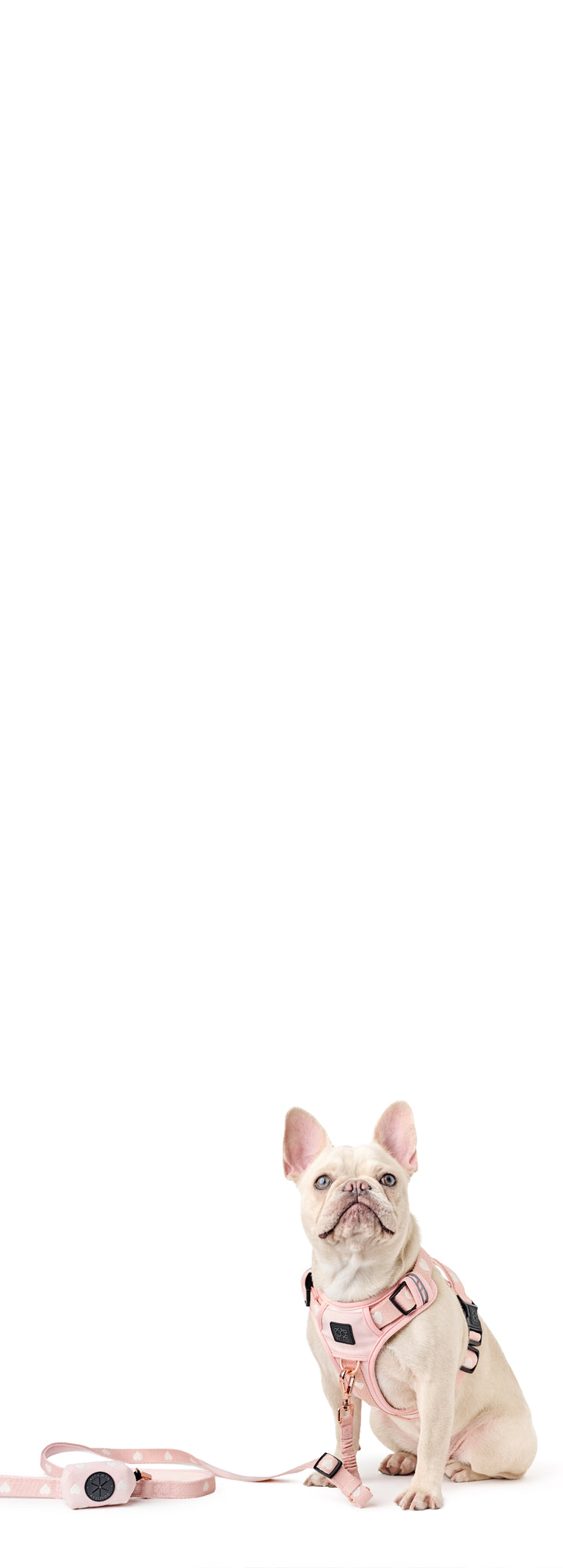 files/02_mobile.webp