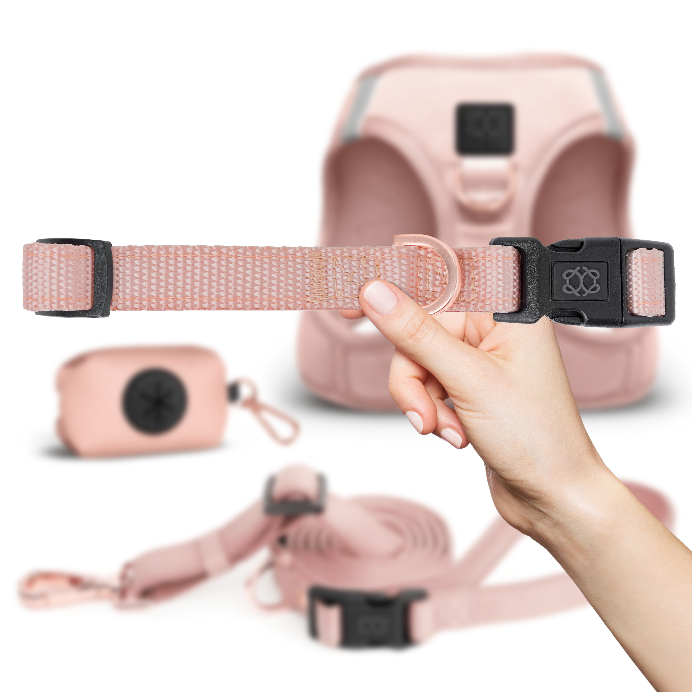 designer dog leashes and collars, designer dog collar and leash, pet accessories designer, fancy harness for dogs, luxury dog harness, fancy dog stuff, pet accessories designer, stylish dog leash