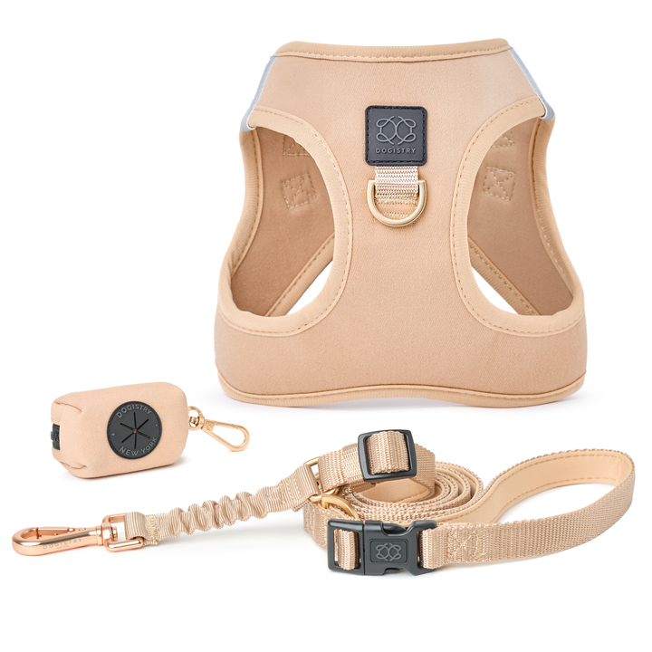 designer dog leashes and collars, designer dog collar and leash, pet accessories designer, fancy harness for dogs, luxury dog harness, fancy dog stuff, pet accessories designer, stylish dog leash