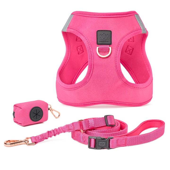 designer dog leashes and collars, designer dog collar and leash, pet accessories designer, fancy harness for dogs, luxury dog harness, fancy dog stuff, pet accessories designer, stylish dog leash