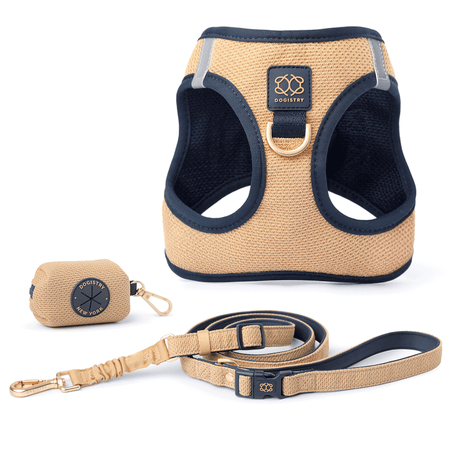 SoHo Dog Walking Set - Hamptons
