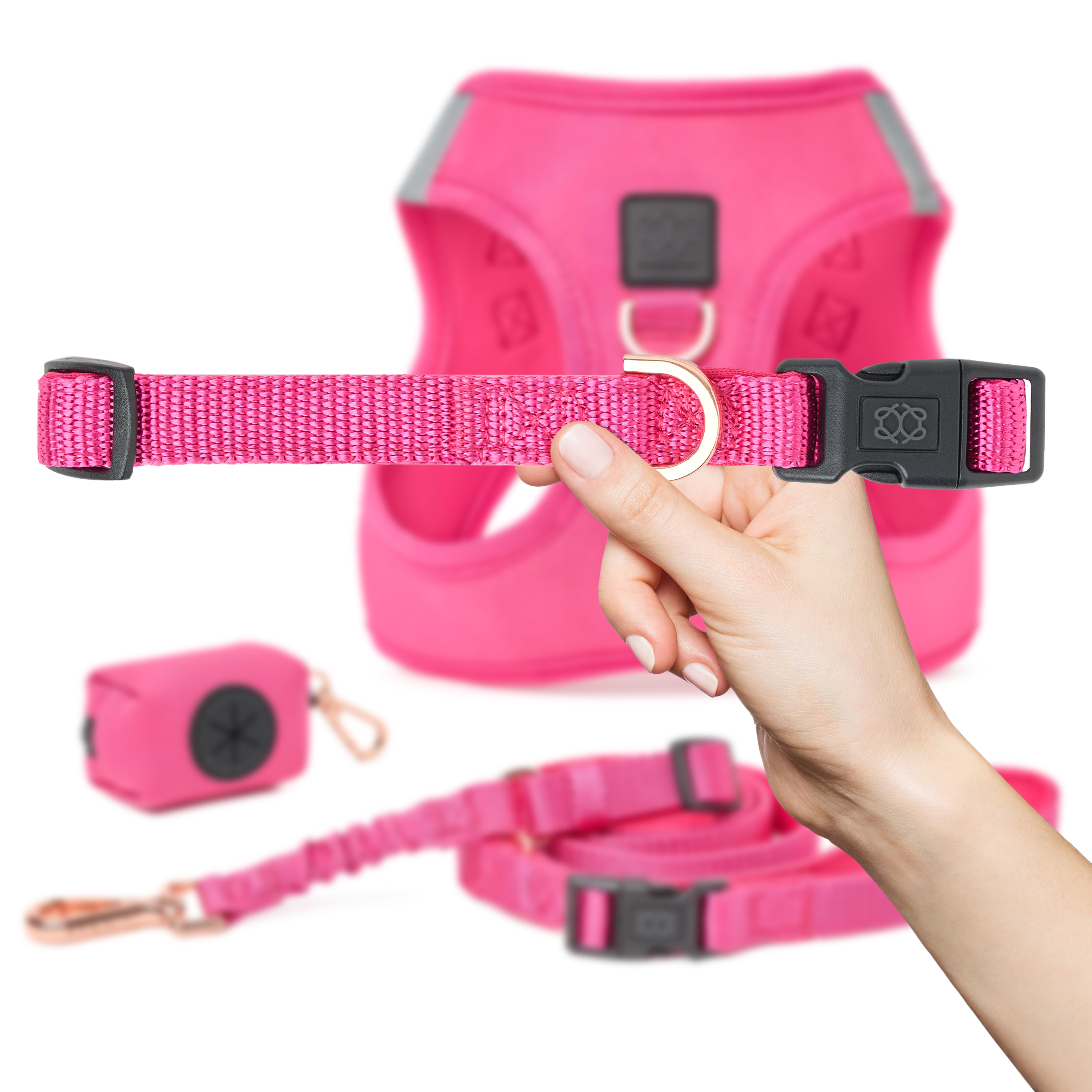 designer dog leashes and collars, designer dog collar and leash, pet accessories designer, fancy harness for dogs, luxury dog harness, fancy dog stuff, pet accessories designer, stylish dog leash