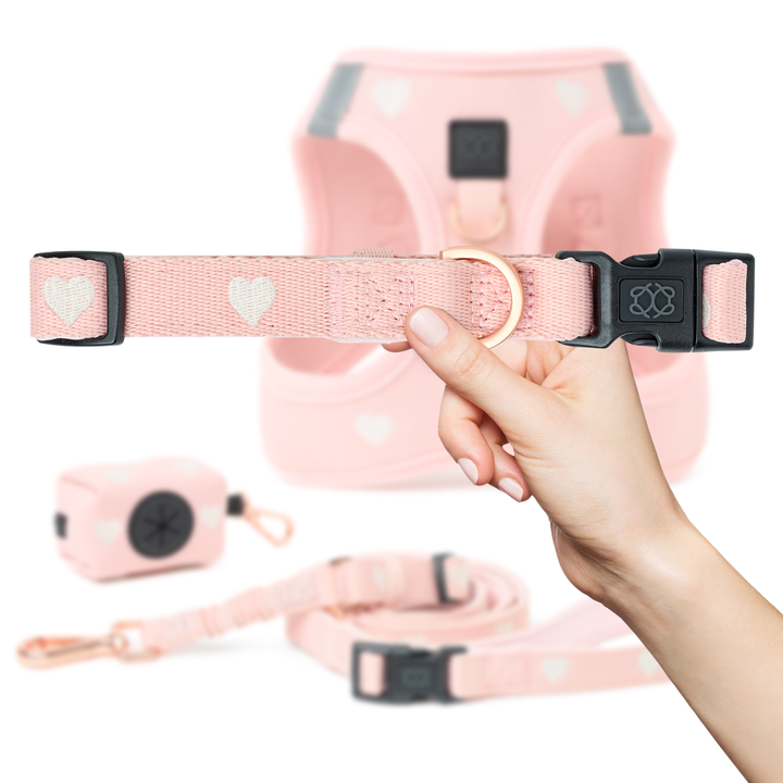 designer dog leashes and collars, designer dog collar and leash, pet accessories designer, fancy harness for dogs, luxury dog harness, fancy dog stuff, pet accessories designer, stylish dog leash