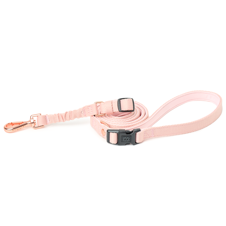 designer dog leashes and collars, designer dog collar and leash, pet accessories designer, fancy harness for dogs, luxury dog harness, fancy dog stuff, pet accessories designer, stylish dog leash