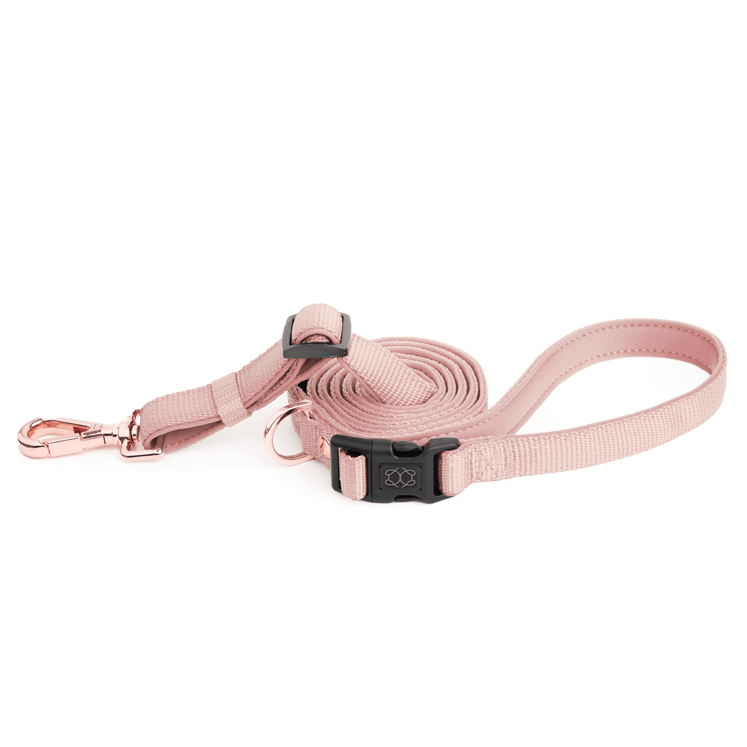 designer dog leashes and collars, designer dog collar and leash, pet accessories designer, fancy harness for dogs, luxury dog harness, fancy dog stuff, pet accessories designer, stylish dog leash