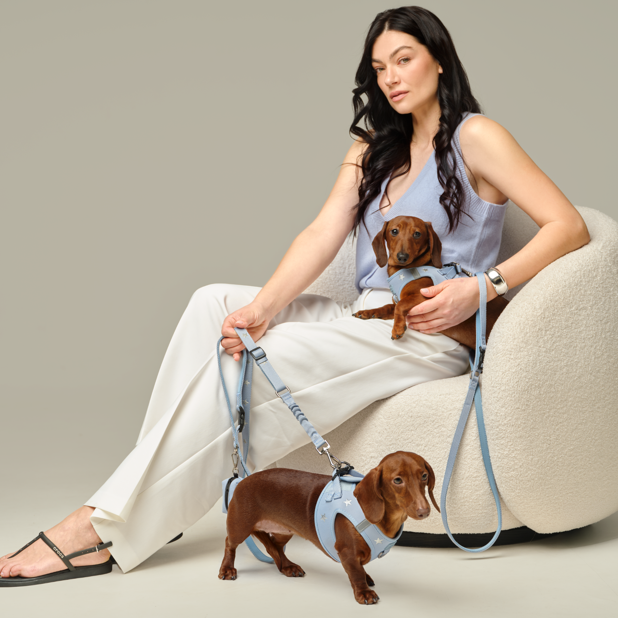 SoHo Dog Walking Set - Rockstar Hudson