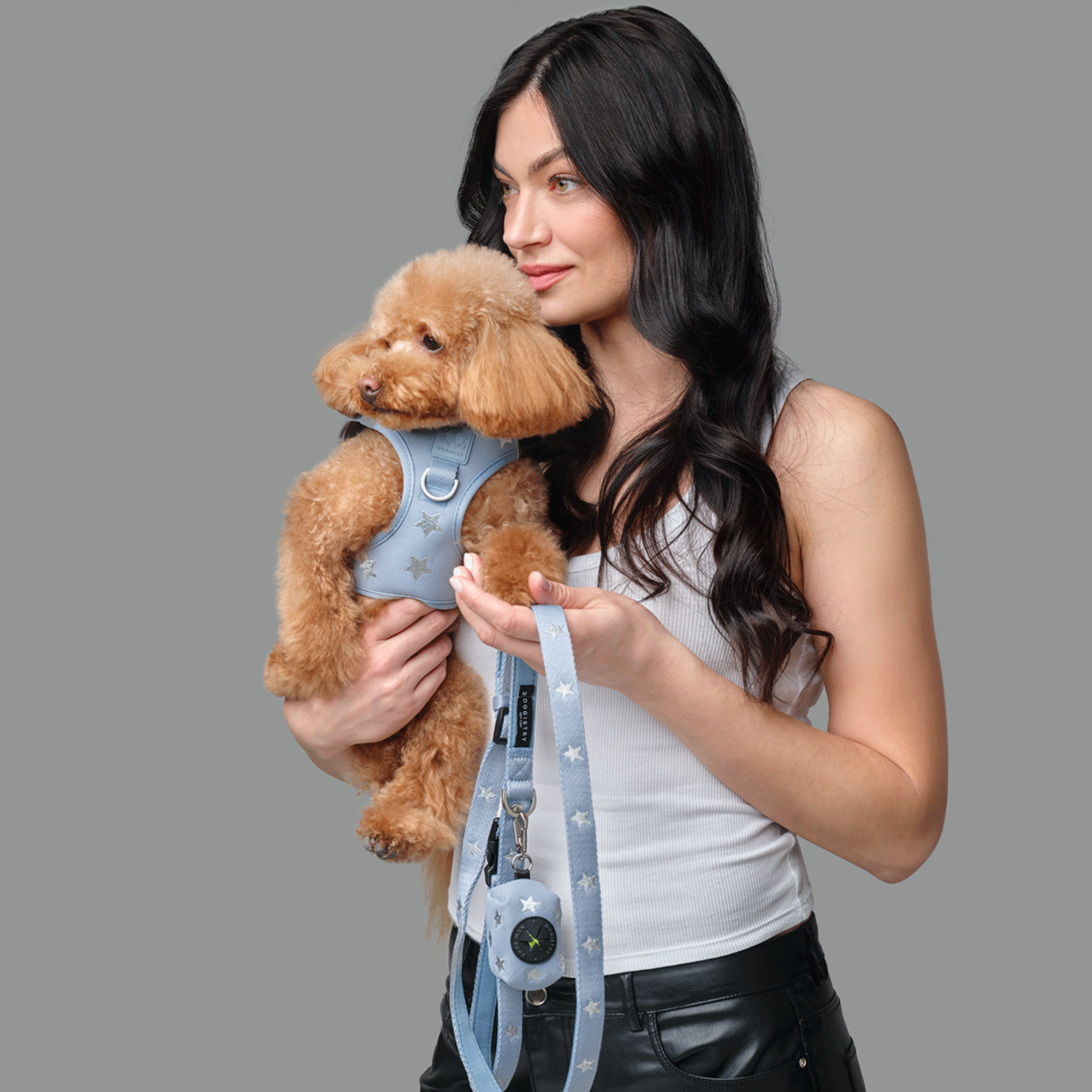 3-in-1 City Dog Leash - Rockstar Hudson