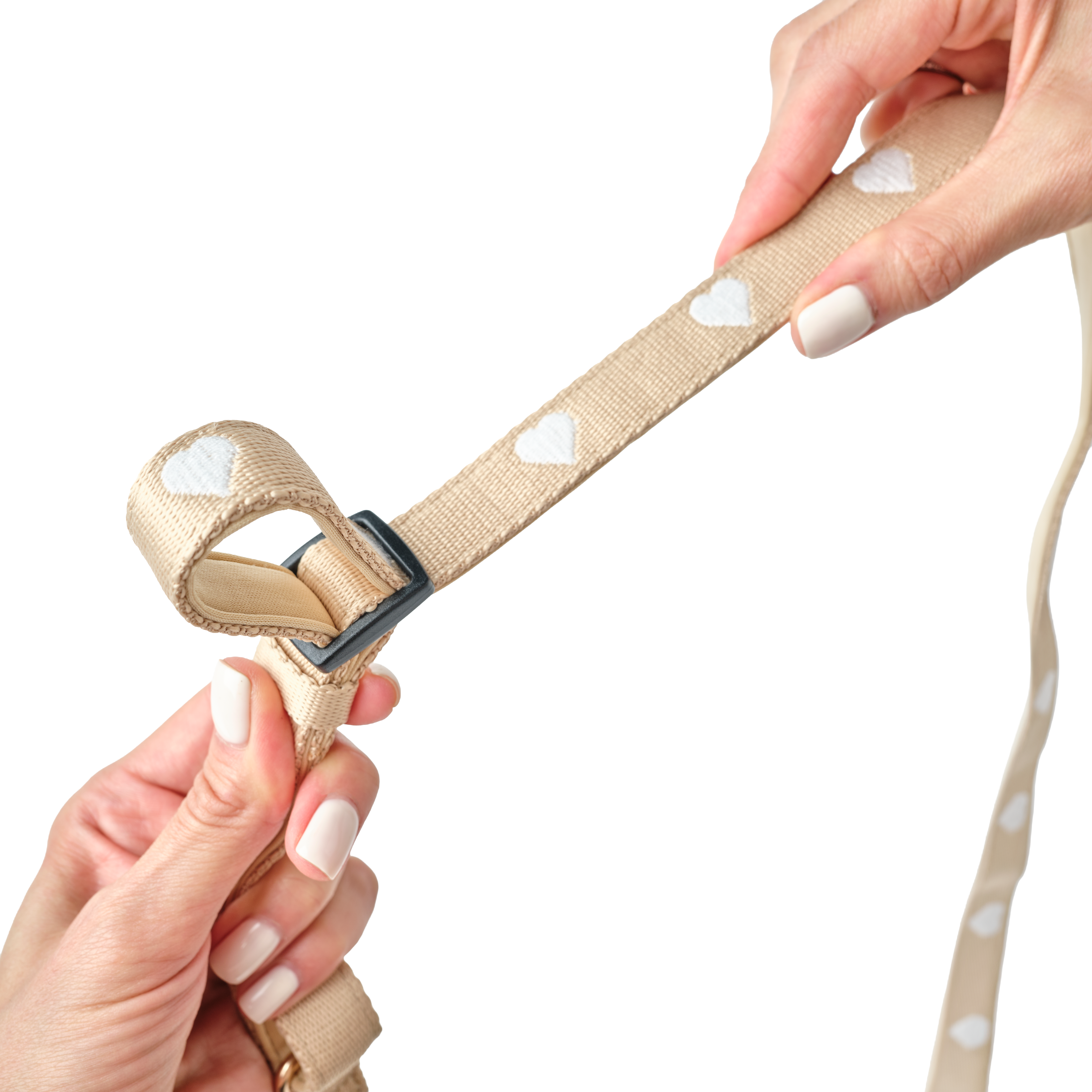 NoMad Adjustable Dog Walking Set - Icon