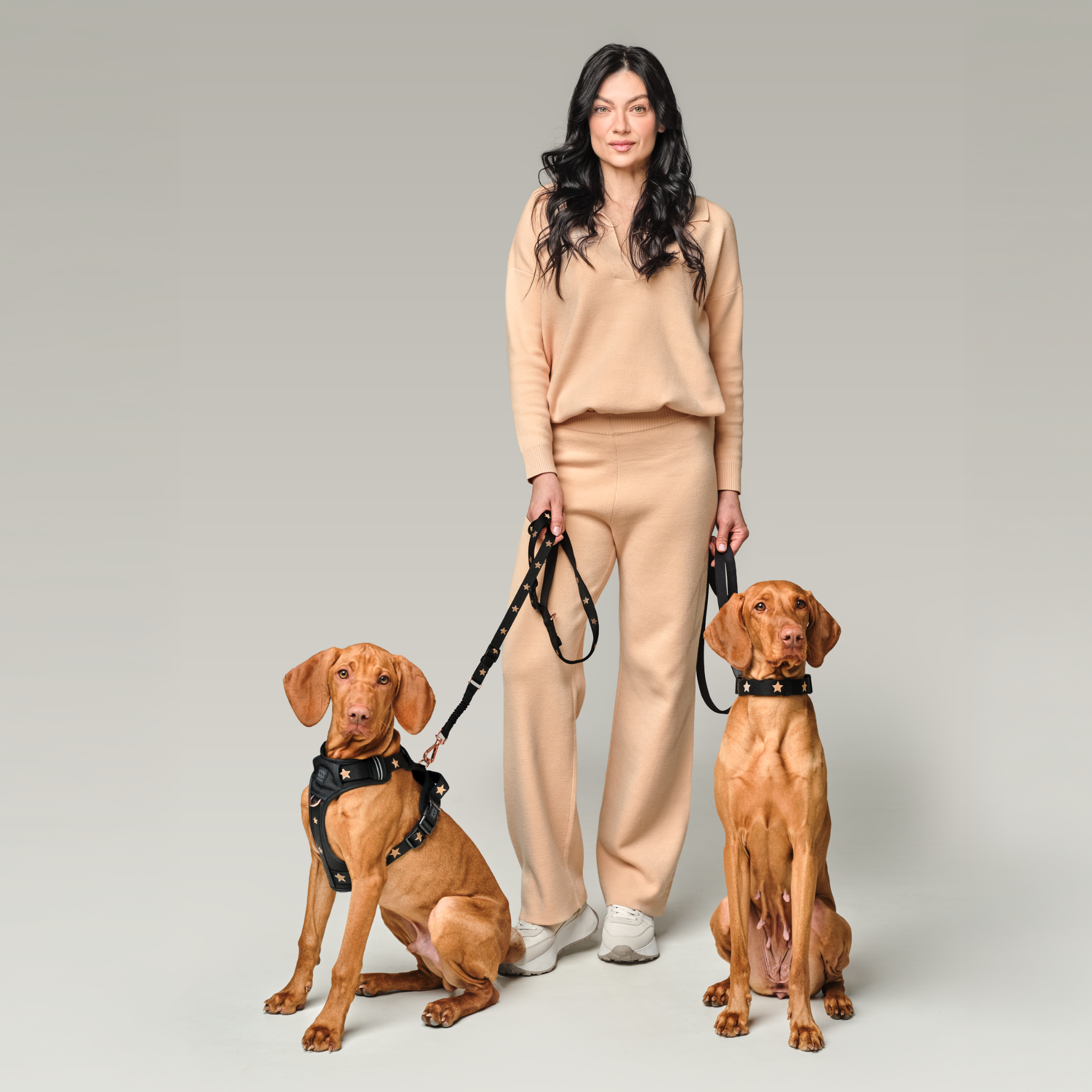 City Leash Set - Rockstar (NoMad)