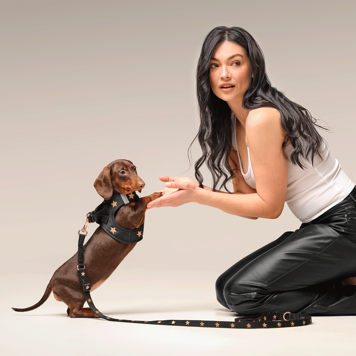 City Leash Set - Rockstar