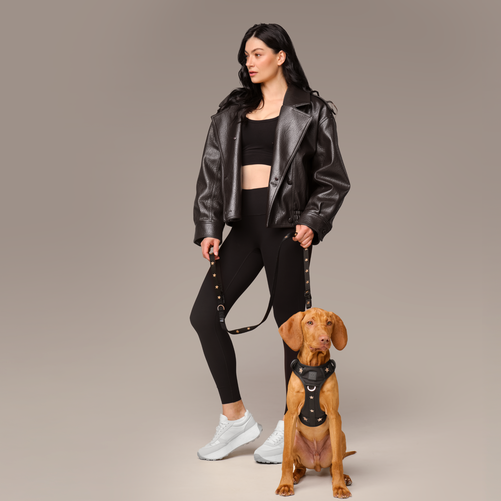 City Leash Set - Rockstar (NoMad)