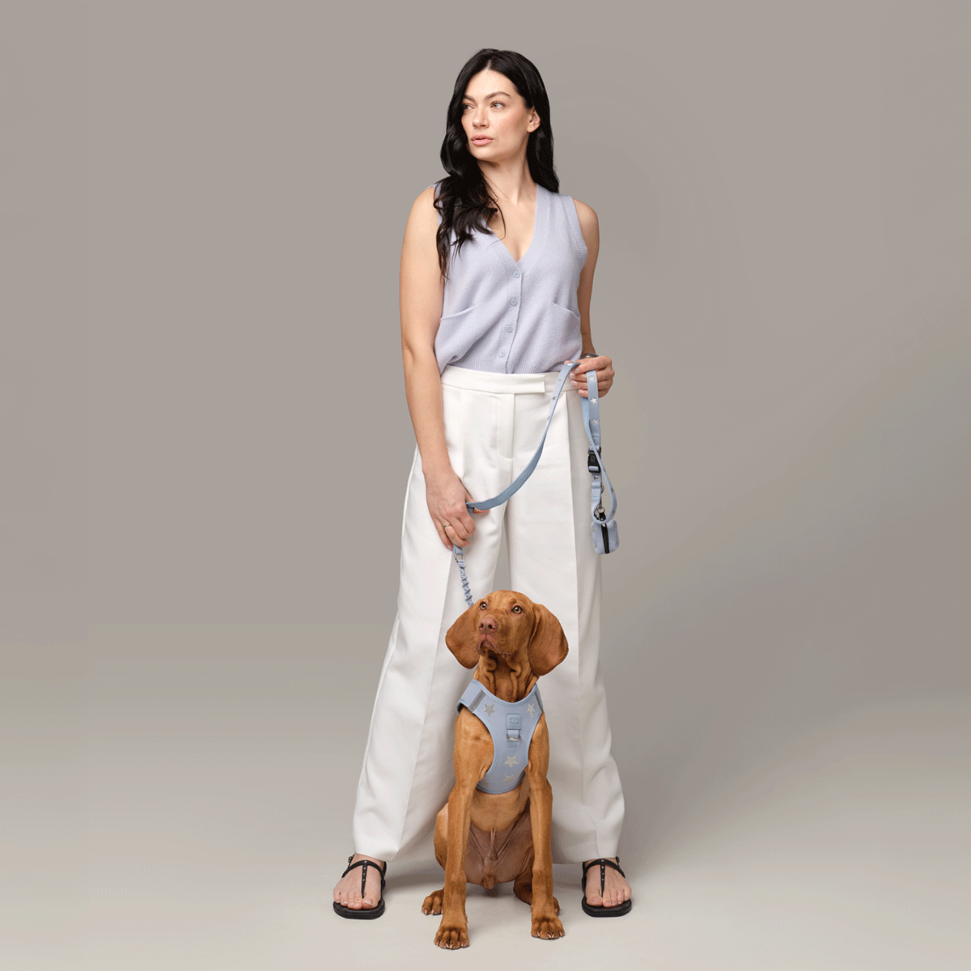 3-in-1 City Dog Leash - Rockstar Hudson