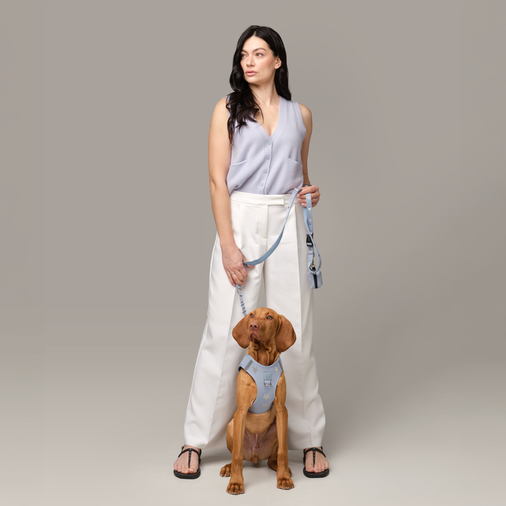 SoHo Dog Walking Set - Rockstar Hudson