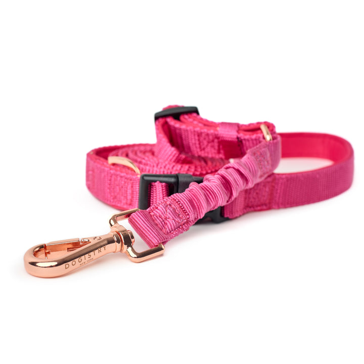 designer dog leashes and collars, designer dog collar and leash, pet accessories designer, fancy harness for dogs, luxury dog harness, fancy dog stuff, pet accessories designer, stylish dog leash