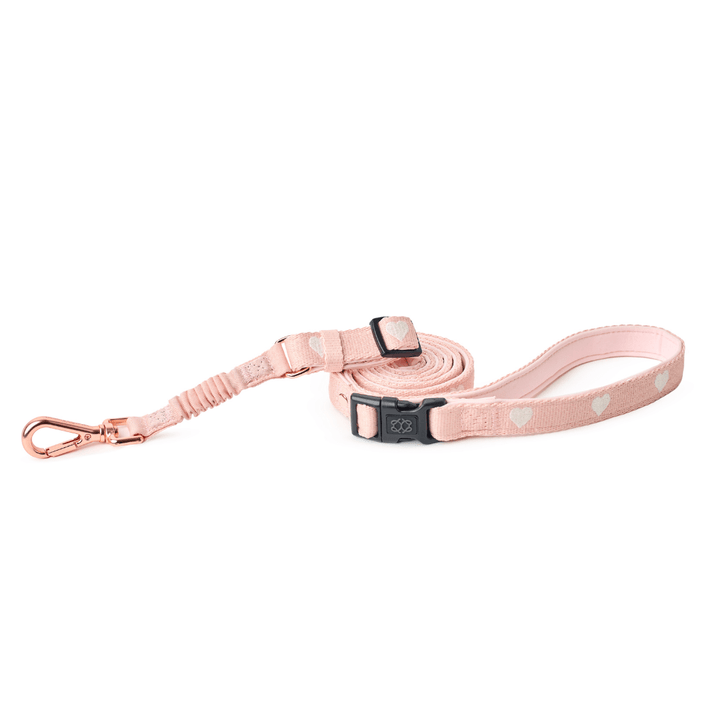 designer dog leashes and collars, designer dog collar and leash, pet accessories designer, fancy harness for dogs, luxury dog harness, fancy dog stuff, pet accessories designer, stylish dog leash