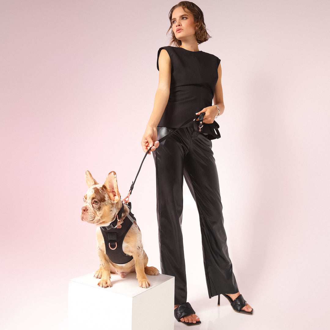 designer dog leashes and collars, designer dog collar and leash, pet accessories designer, fancy harness for dogs, luxury dog harness, fancy dog stuff, pet accessories designer, stylish dog leash