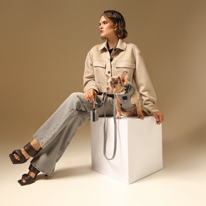 designer dog leashes and collars, designer dog collar and leash, pet accessories designer, fancy harness for dogs, luxury dog harness, fancy dog stuff, pet accessories designer, stylish dog leash