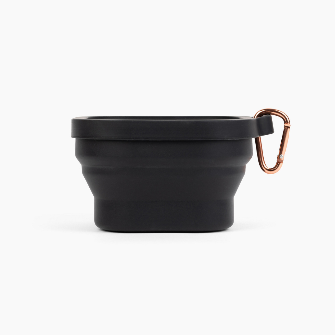 Custom Collapsible Silicone Dog Bowl