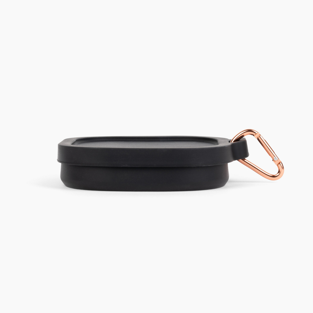 Custom Collapsible Silicone Dog Bowl