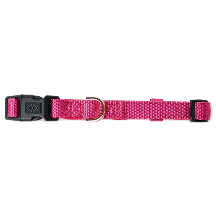 City Collar - Park Ave Pink - Dogistry™