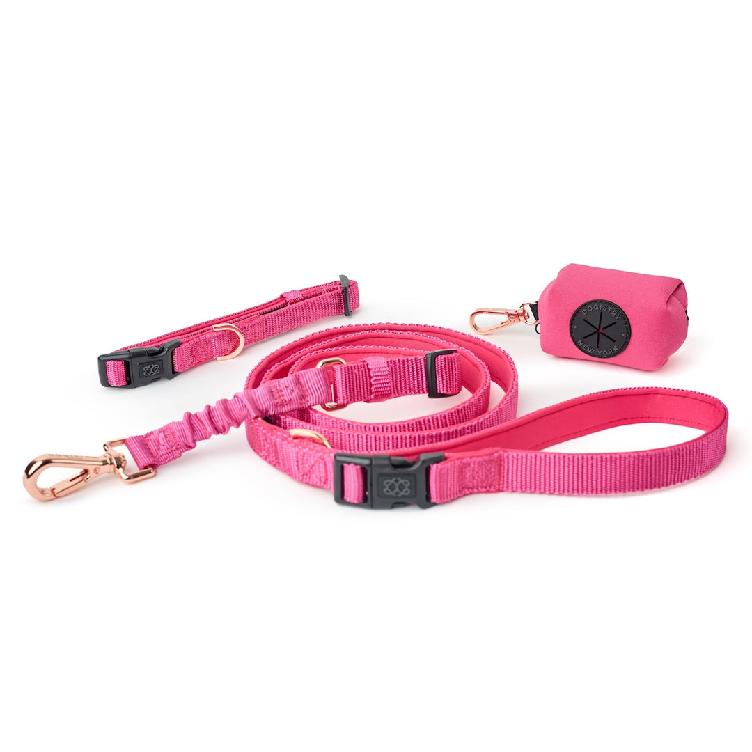 City Collar - Park Ave Pink - Dogistry™
