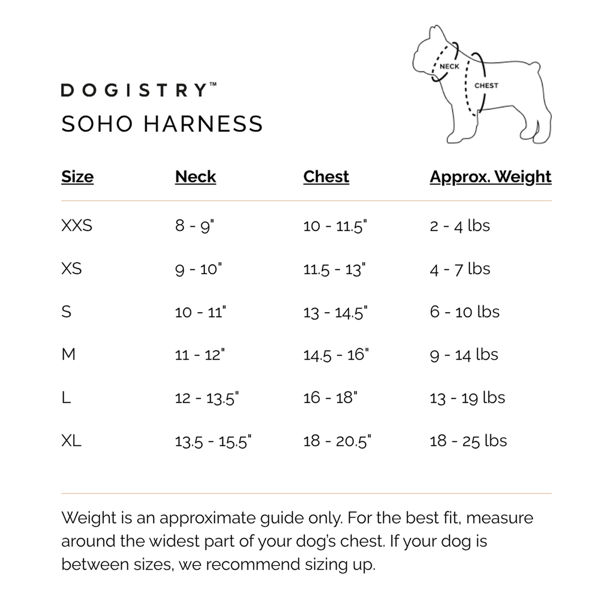 City Leash Set - Crosby