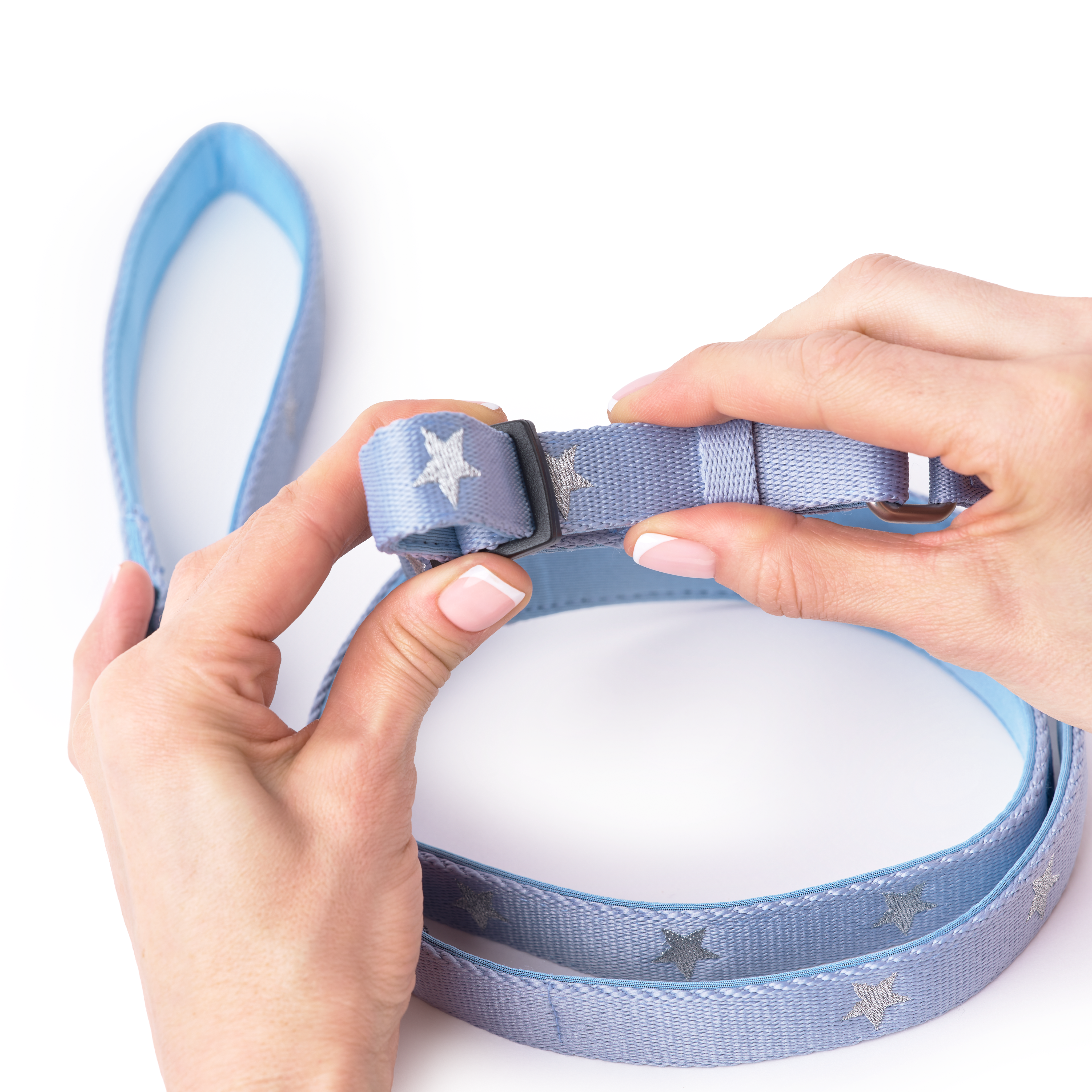 3-in-1 City Dog Leash - Rockstar Hudson