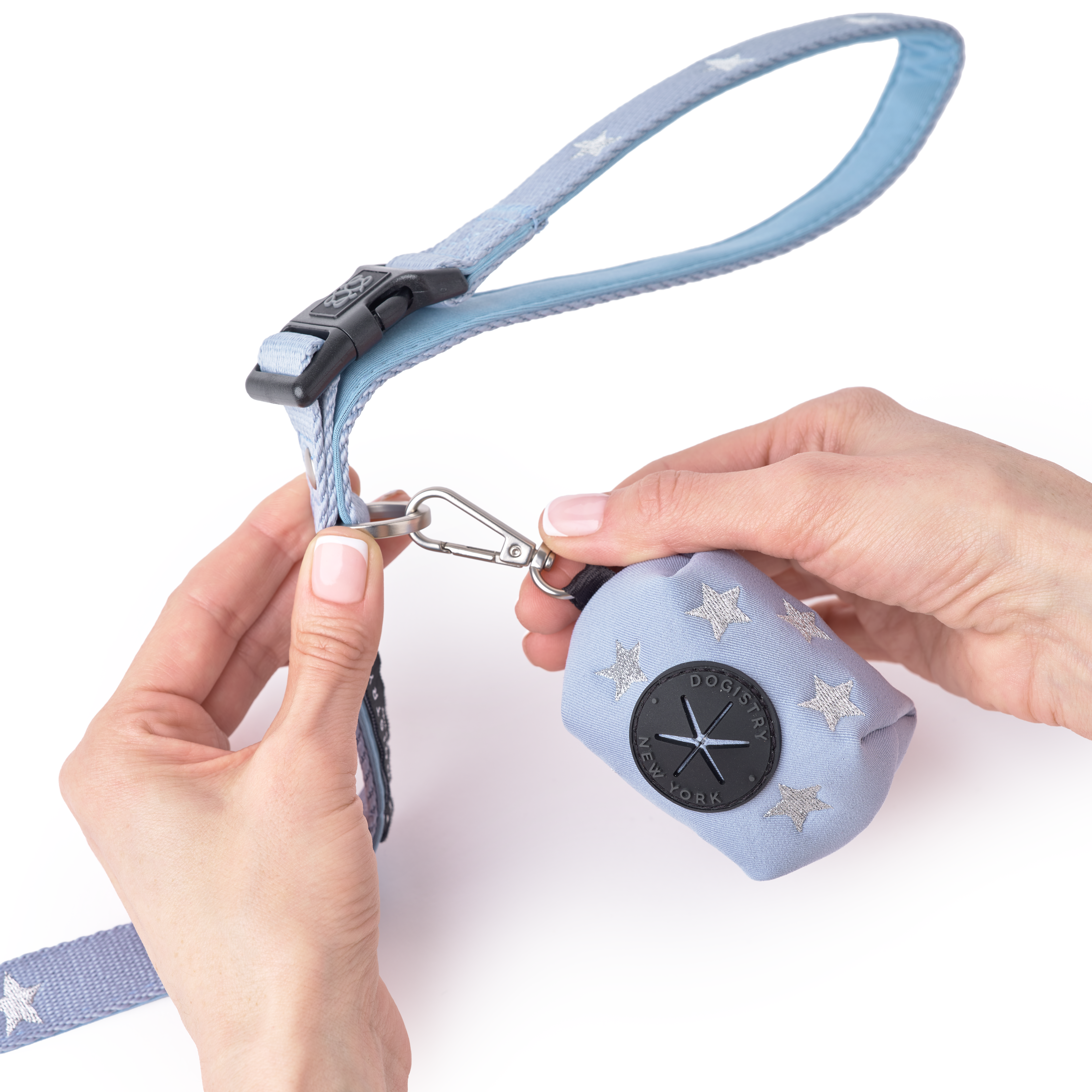 3-in-1 City Dog Leash - Rockstar Hudson