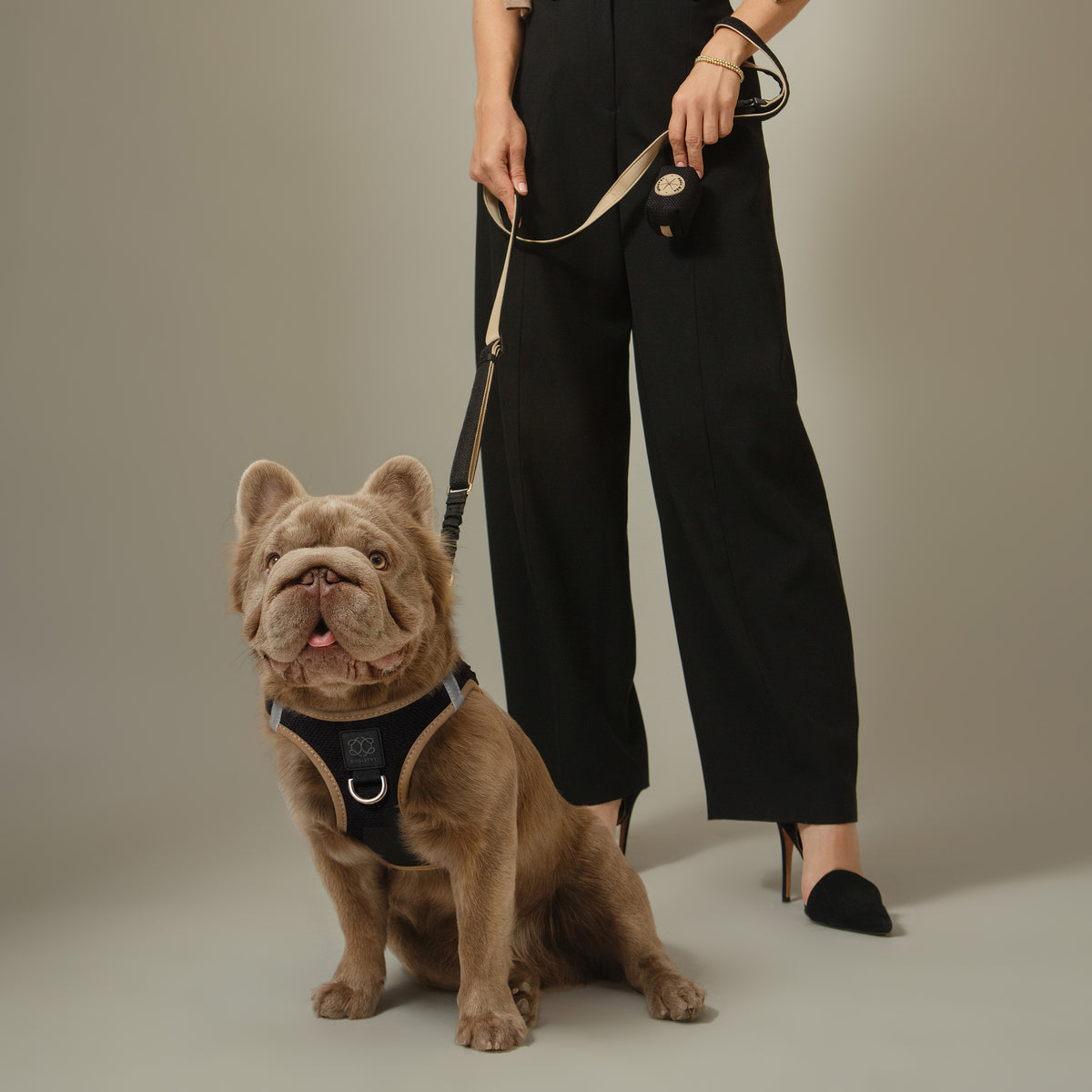 City Leash Set - Crosby