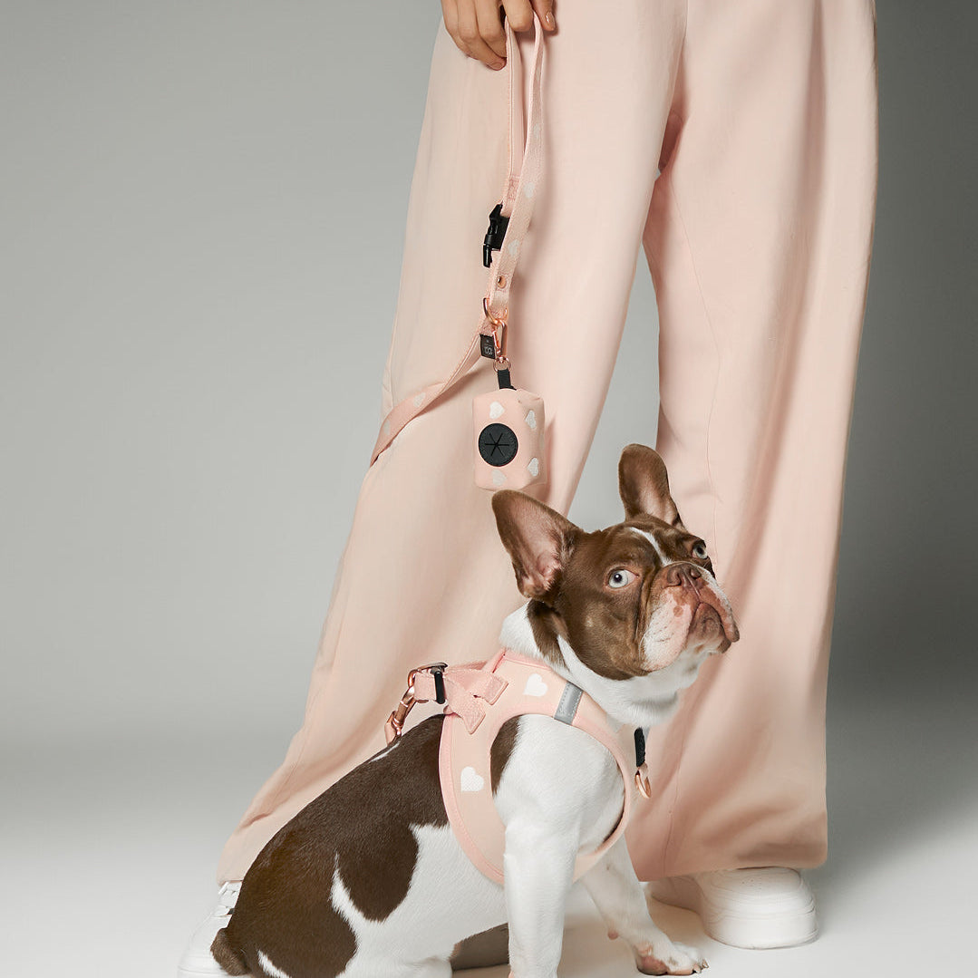 designer dog leashes and collars, designer dog collar and leash, pet accessories designer, fancy harness for dogs, luxury dog harness, fancy dog stuff, pet accessories designer, stylish dog leash