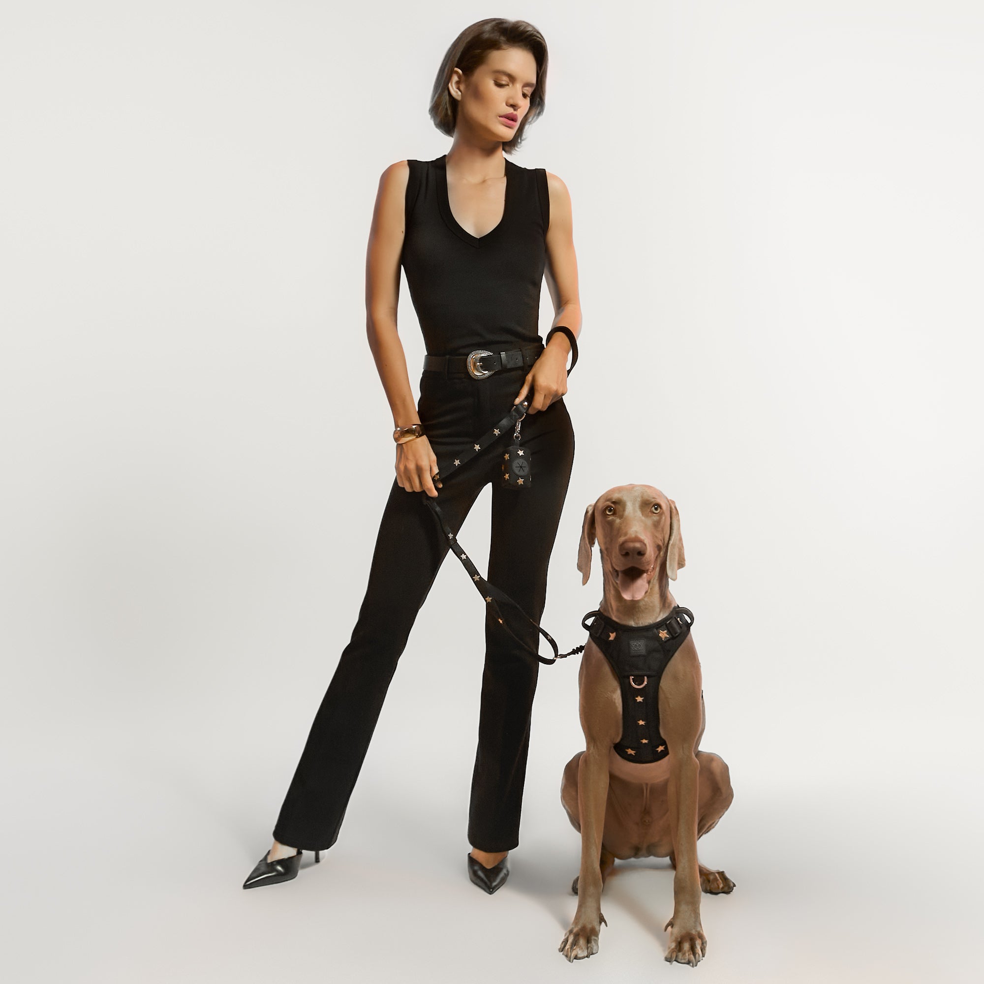 designer dog leashes and collars, designer dog collar and leash, pet accessories designer, fancy harness for dogs, luxury dog harness, fancy dog stuff, pet accessories designer, stylish dog leash