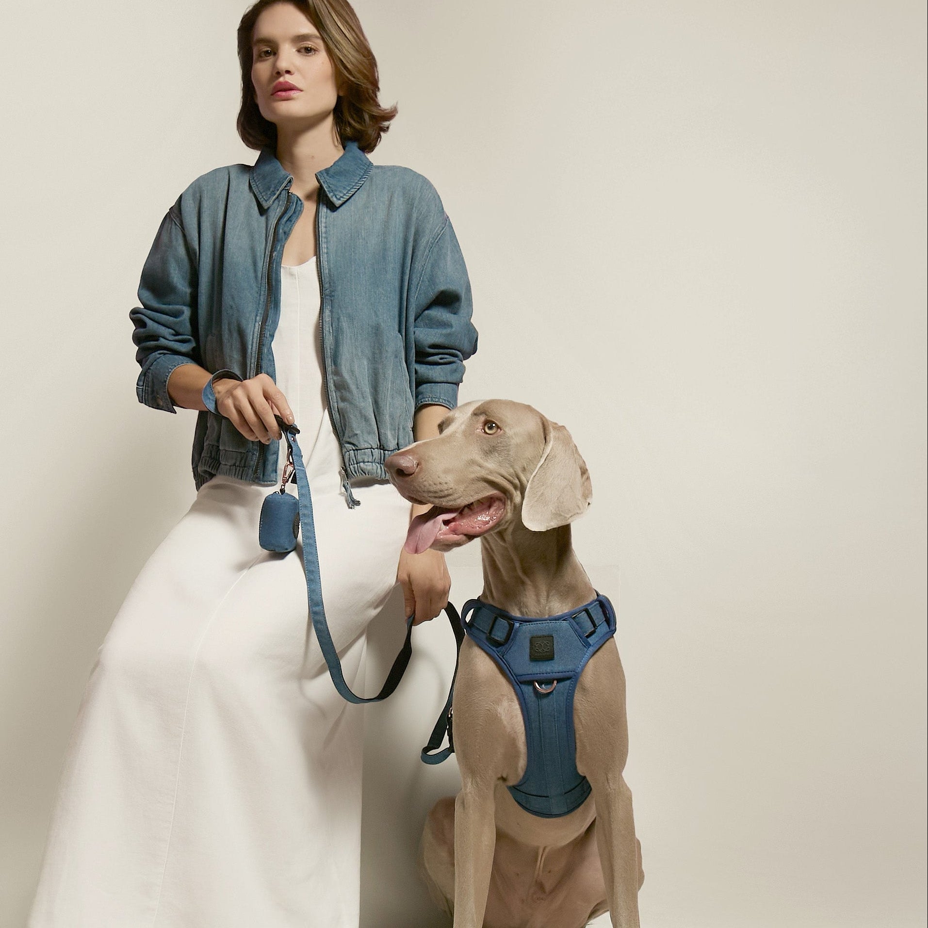 Denim No-Pull Dog Harness for Medium Dogs | Dogistry