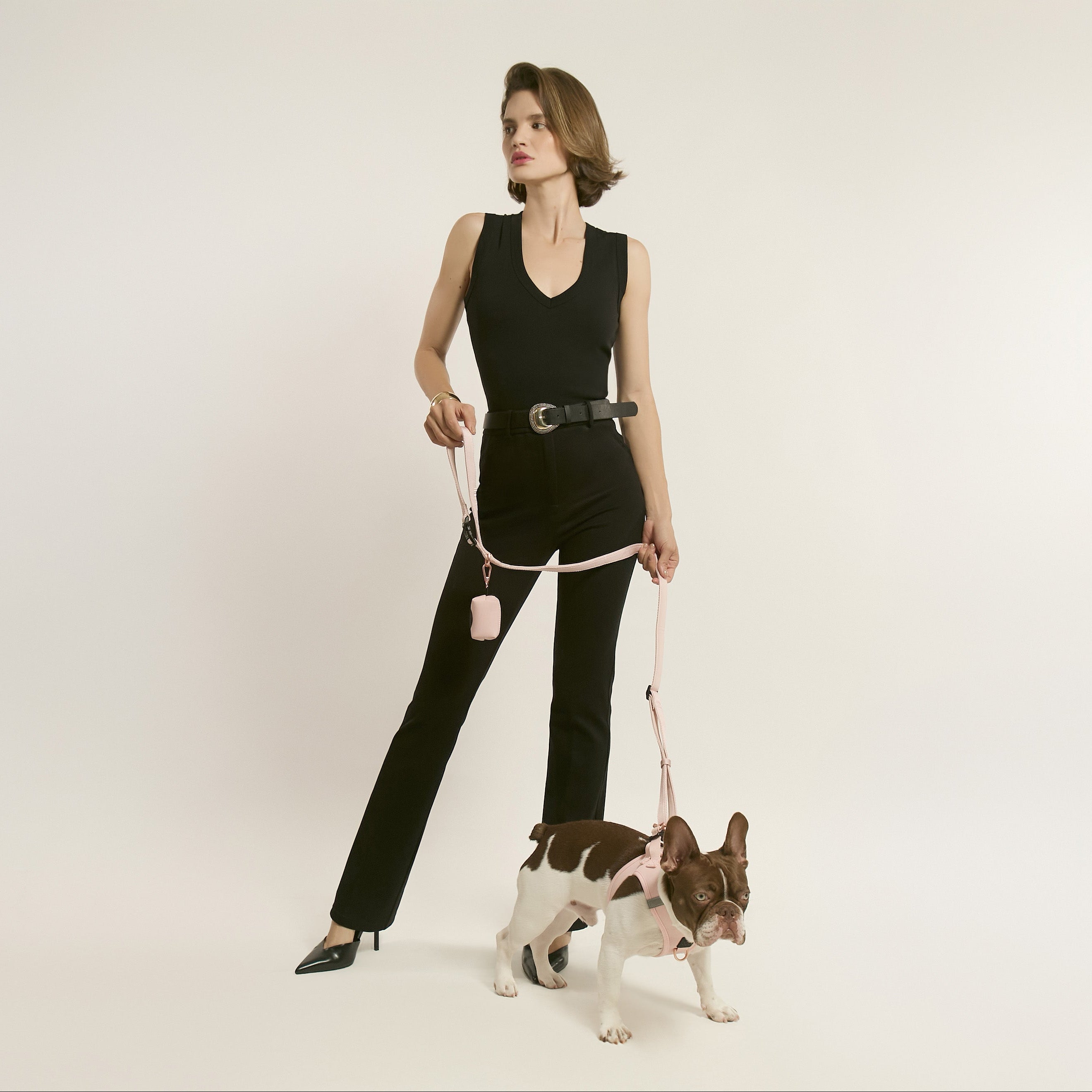 designer dog leashes and collars, designer dog collar and leash, pet accessories designer, fancy harness for dogs, luxury dog harness, fancy dog stuff, pet accessories designer, stylish dog leash