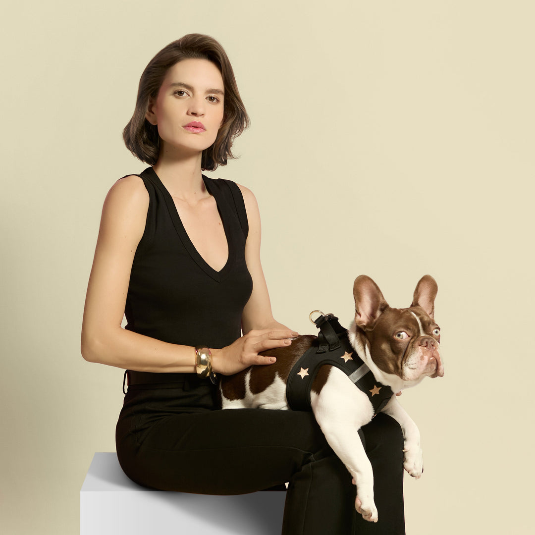 designer dog leashes and collars, designer dog collar and leash, pet accessories designer, fancy harness for dogs, luxury dog harness, fancy dog stuff, pet accessories designer, stylish dog leash