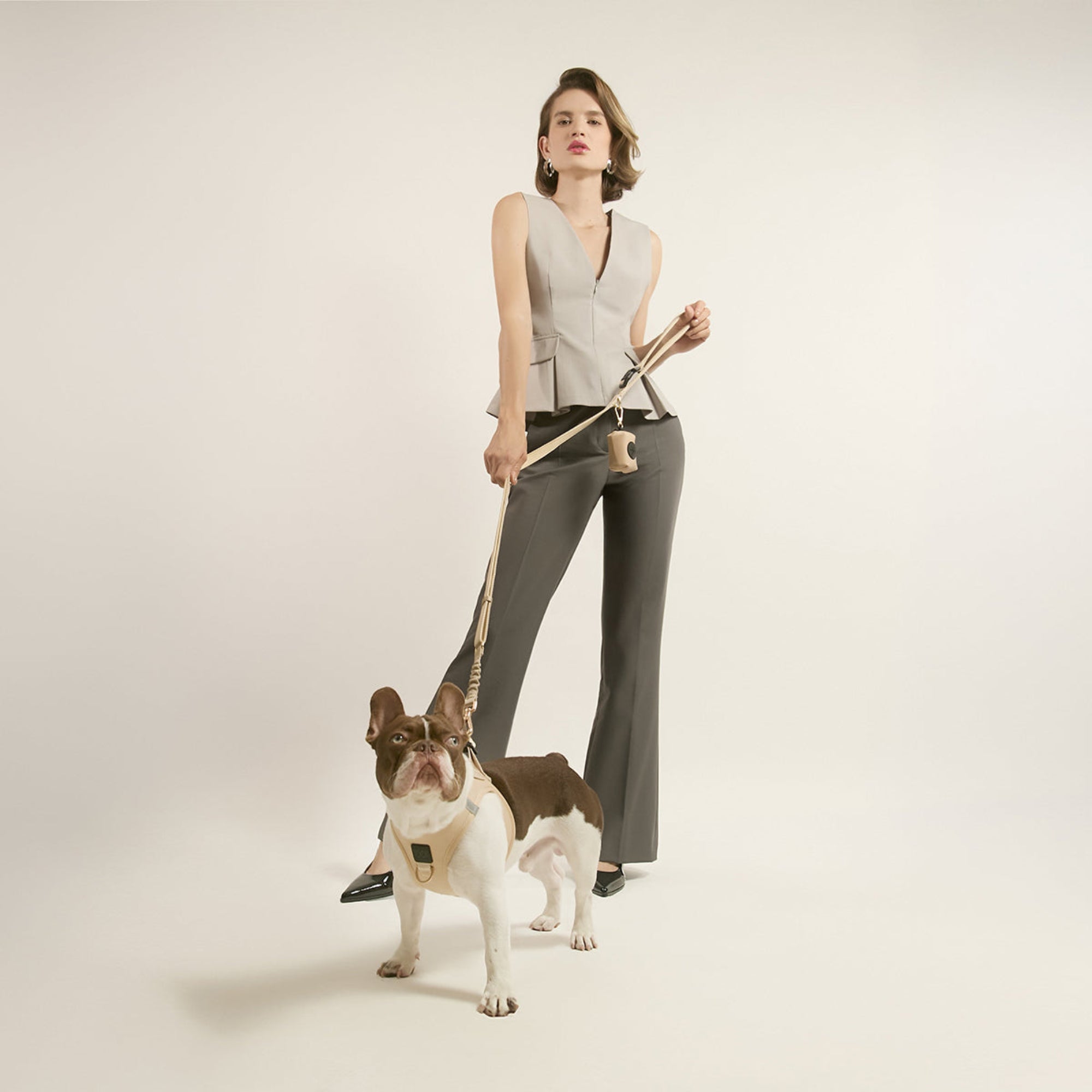 designer dog leashes and collars, designer dog collar and leash, pet accessories designer, fancy harness for dogs, luxury dog harness, fancy dog stuff, pet accessories designer, stylish dog leash