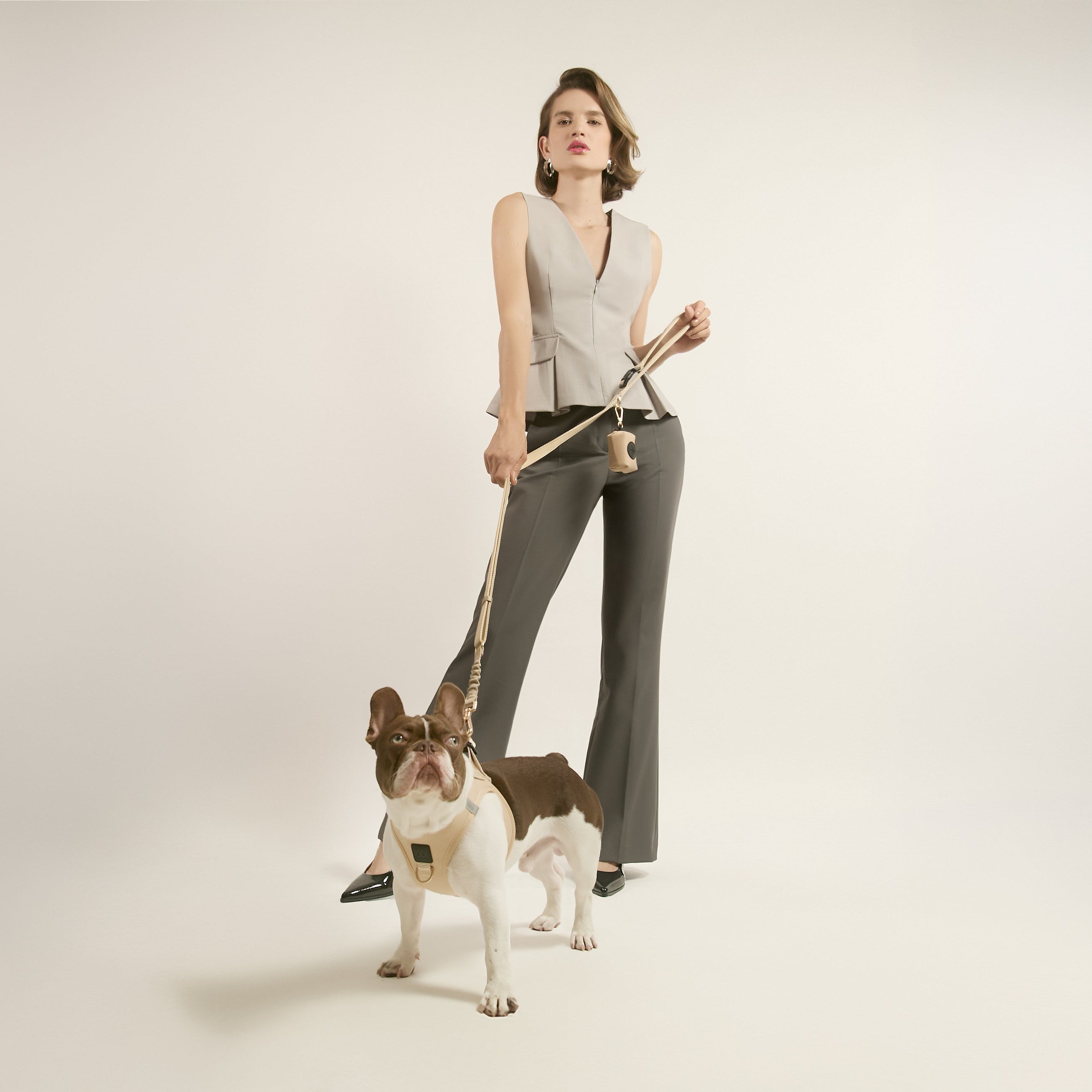 designer dog leashes and collars, designer dog collar and leash, pet accessories designer, fancy harness for dogs, luxury dog harness, fancy dog stuff, pet accessories designer, stylish dog leash