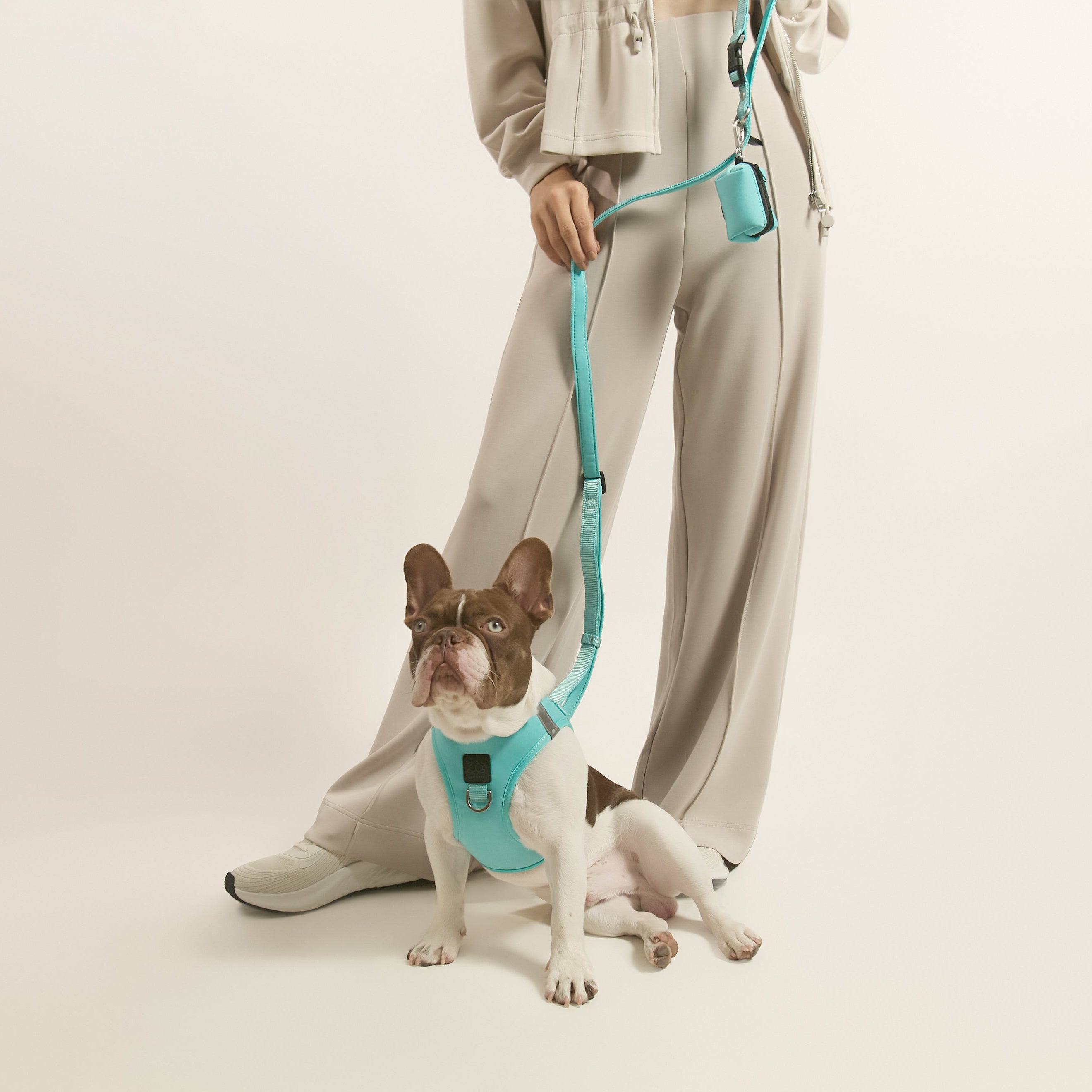 designer dog leashes and collars, designer dog collar and leash, pet accessories designer, fancy harness for dogs, luxury dog harness, fancy dog stuff, pet accessories designer, stylish dog leash