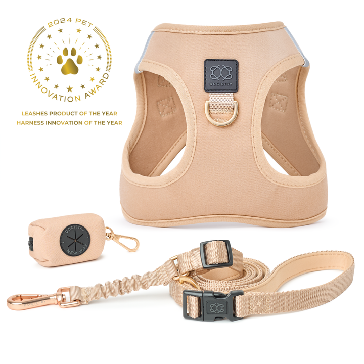 designer dog leashes and collars, designer dog collar and leash, pet accessories designer, fancy harness for dogs, luxury dog harness, fancy dog stuff, pet accessories designer, stylish dog leash